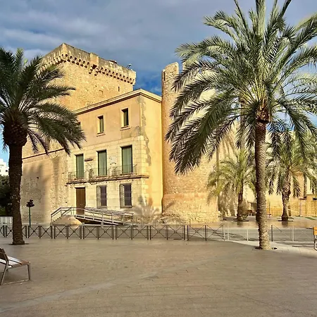 Sol Mediterraneo Palm *